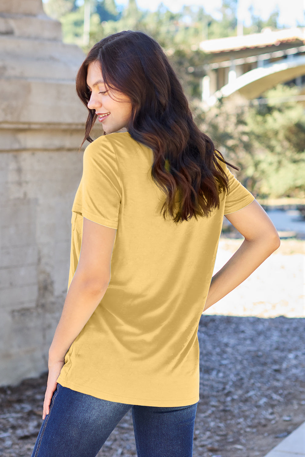 Basic Bae Bamboo Full Size  V-Neck Short Sleeve T-Shirt - Fragrance Spice