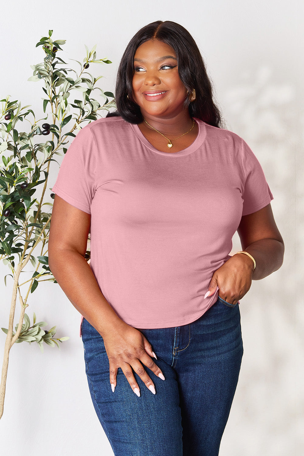 Basic Bae Full Size Round Neck Short Sleeve T-Shirt - Fragrance Spice
