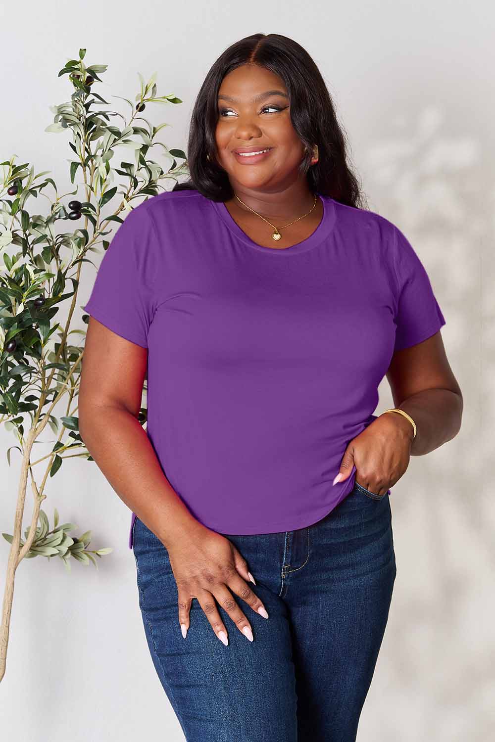 Basic Bae Full Size Round Neck Short Sleeve T-Shirt - Fragrance Spice